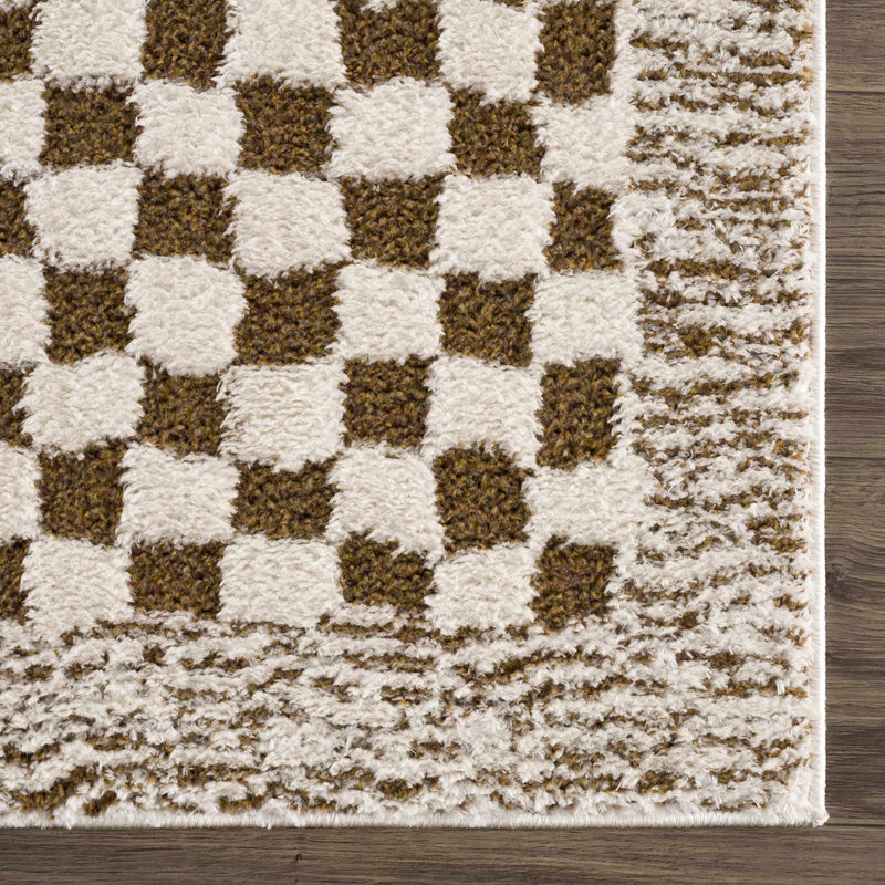 Sample Leryn Brown & White Checkered Area Rug-0