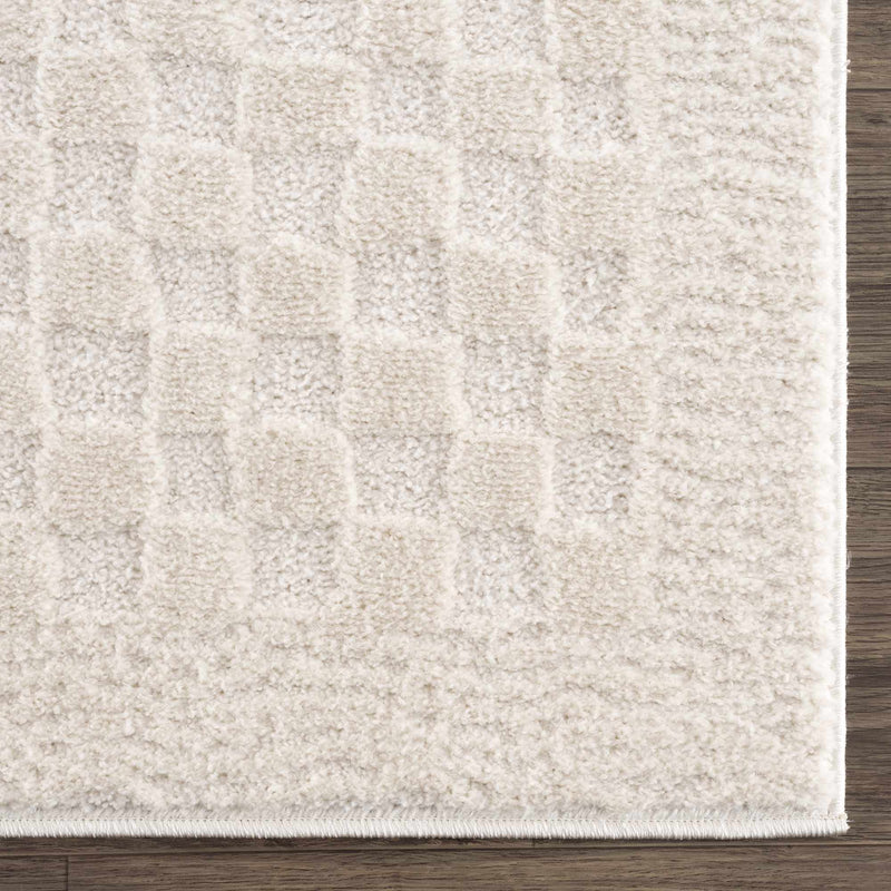 Sample Leryn Ivory Checkered Area Rug-0