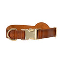 Golden Leather Dog Collars with Apple AirTag Slot-2