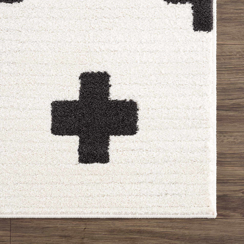 Sample Erath Area Rug-0