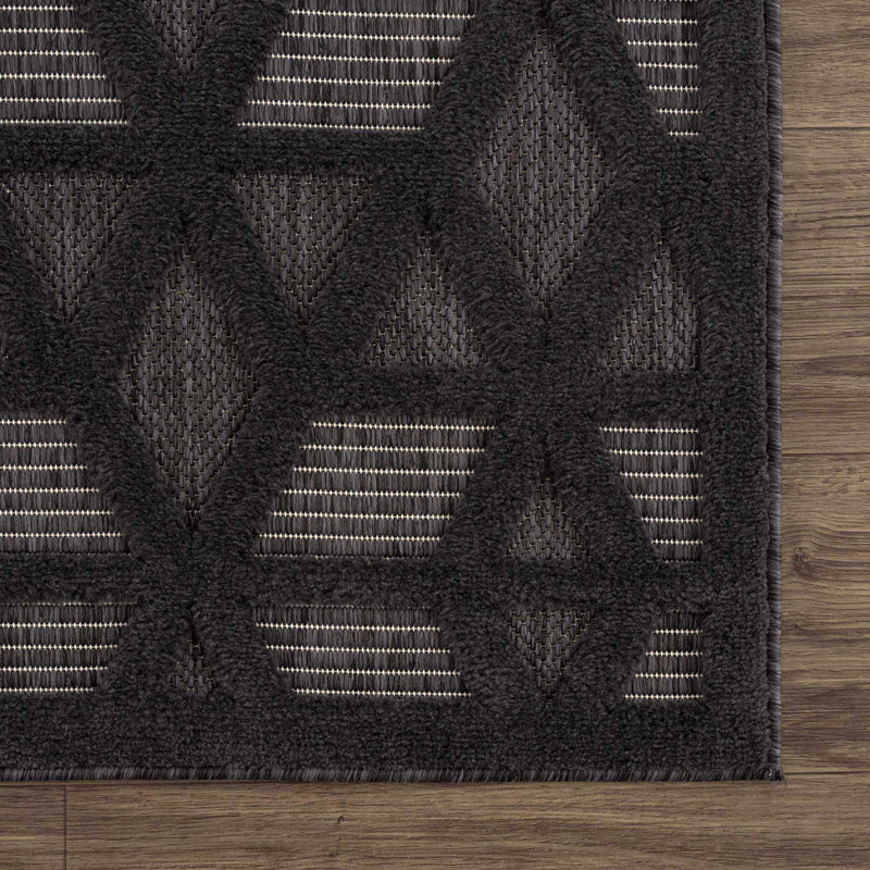 Sample Nuri Black Outdoor Rug-0