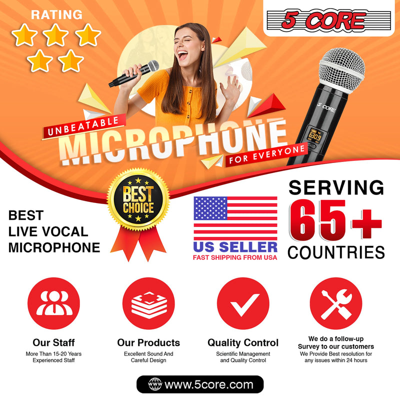 5 Core Wireless Microphones Black Dynamic Microphone 1 Piece Handheld Portable Cordless Microfone Microfono Inalambrico Profesional - WM 1001-11
