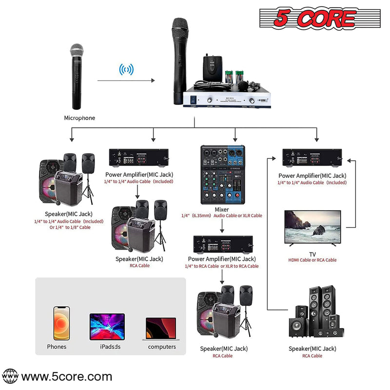 5Core VHF Dual Channel DIGITAL PRO Wireless Microphone System with Receiver WM 301 1M1C-12