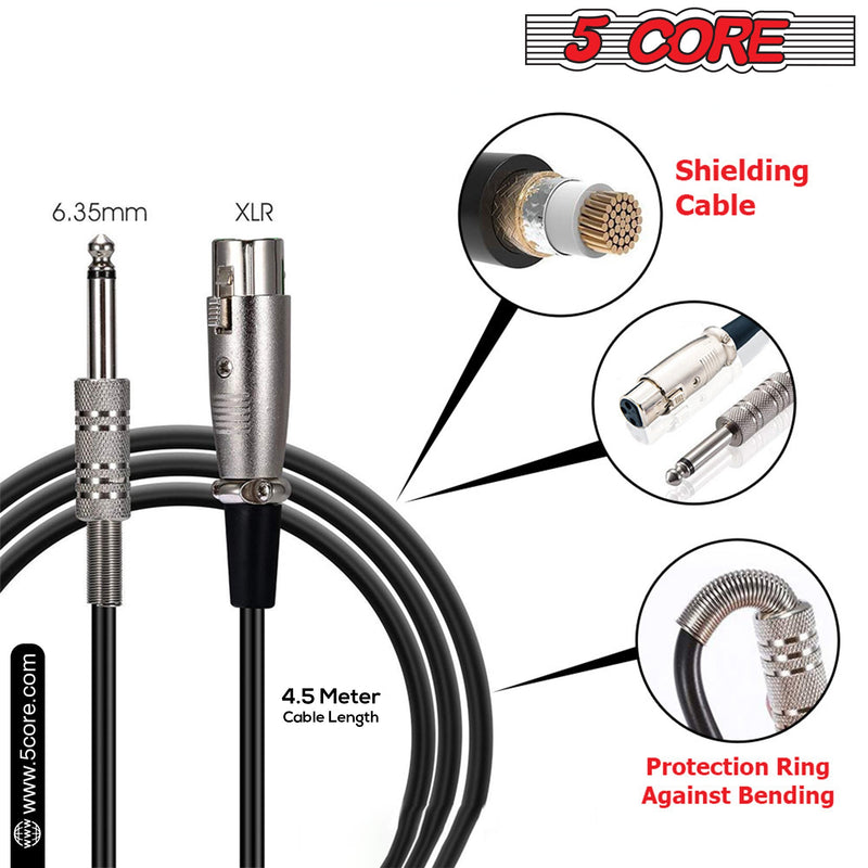 5 Core Premium Vocal Microphone| Cardioid Unidirectional Pickup| On/Off Switch, Steel Mesh Grille and Integral Pop Filter| 12ft XLR Connector, Mic Holder, Storage Bag Included- BETA-10