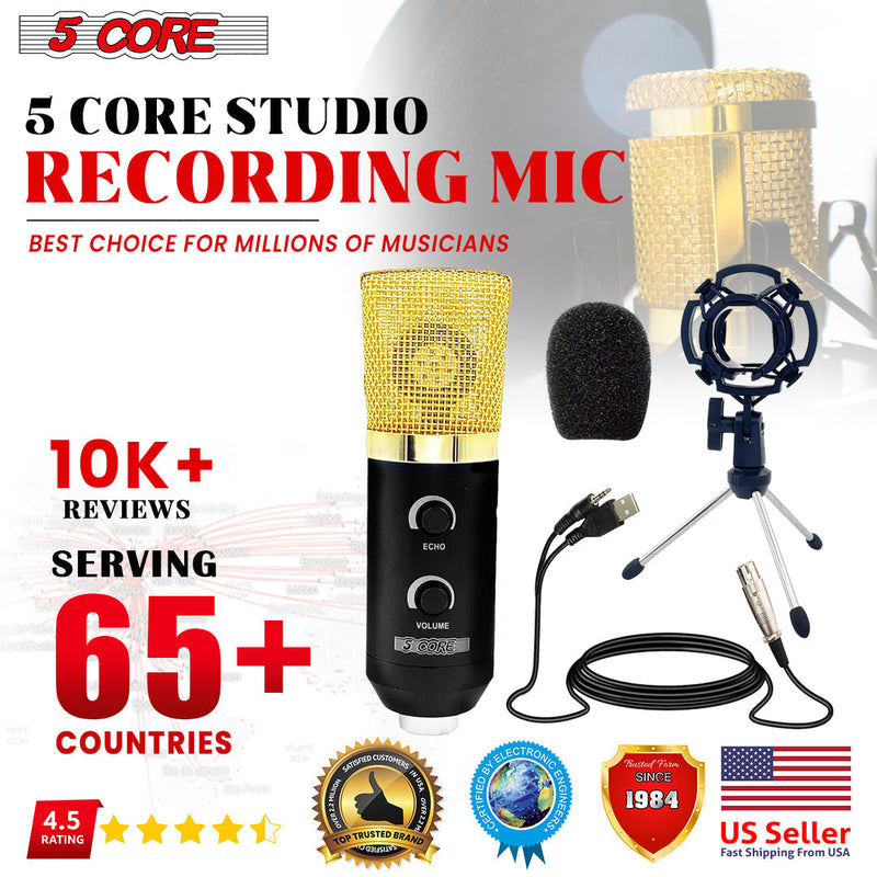 5 Core Studio Recording Kit Podcast Equipment Bundle Includes Recording Microphone Desk Arm Shock Mount Sponge XLR Cable Mini Tripod -RM 7 BG-9