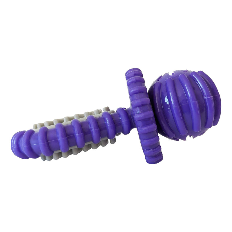 Dental Pacifier Dog Chew Toy - Purple-1