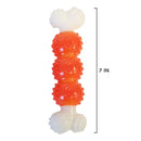 Nylon TPR Bone with Room For Treat 8 Inches-3