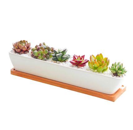 Succulent Planter-Long-3