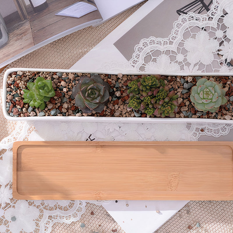 Succulent Planter-Long-1