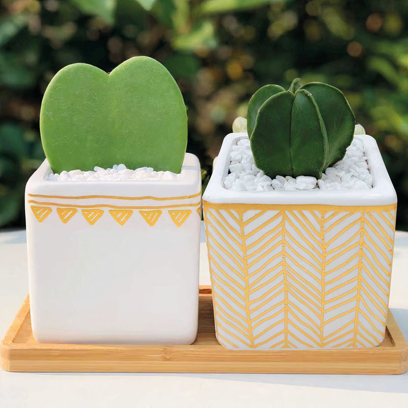 Rhapsody Planters Set of 2-0