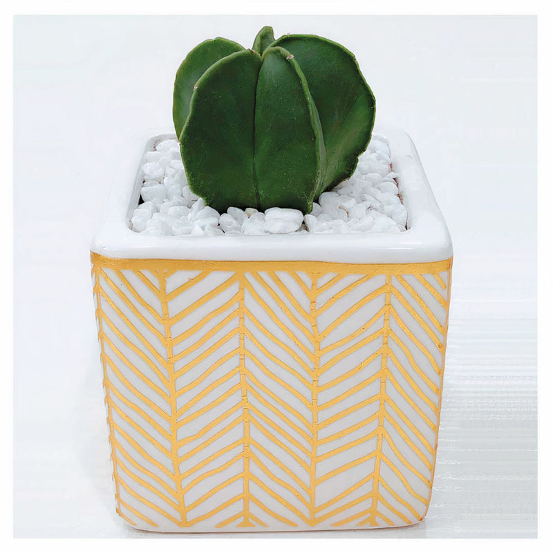 Rhapsody Planters Set of 2-1